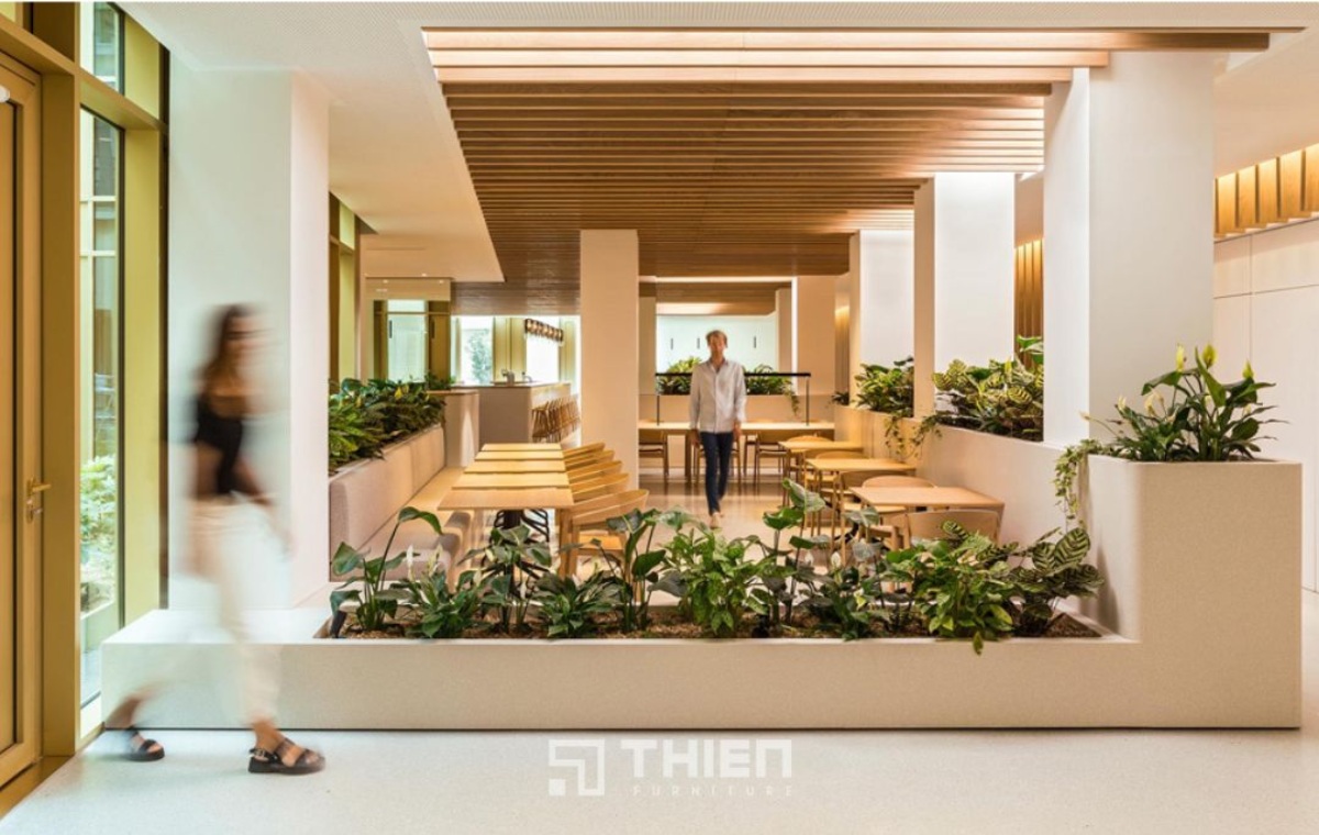 Biophilic Design là gì