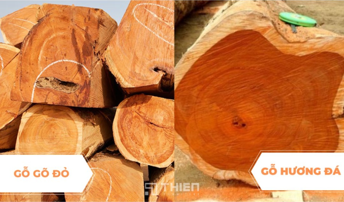 cách phân biệt gỗ Hương Đá và gỗ Đỏ 