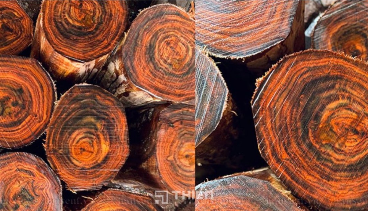 Gỗ Trắc có vẫn gỗ đẹp, sắc nét