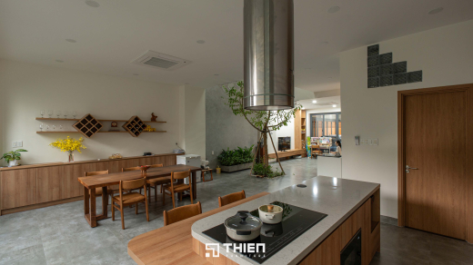 Giải Pháp Không Gian Sống Xanh Cho Nhà Phố Hiện Đại